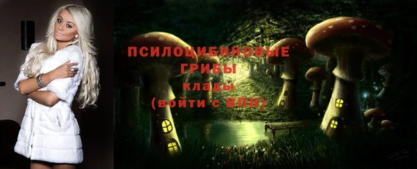 ГАЛЛЮЦИНОГЕННЫЕ ГРИБЫ Володарск