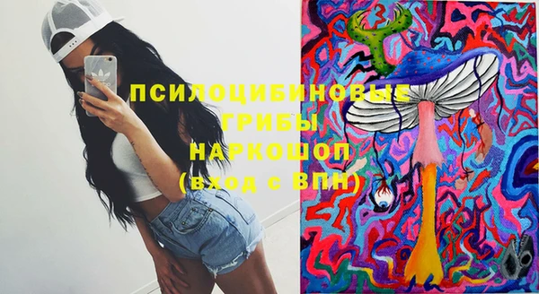 индика Горняк