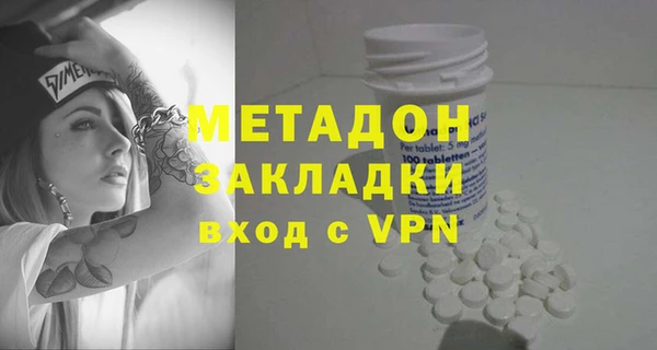 индика Горняк