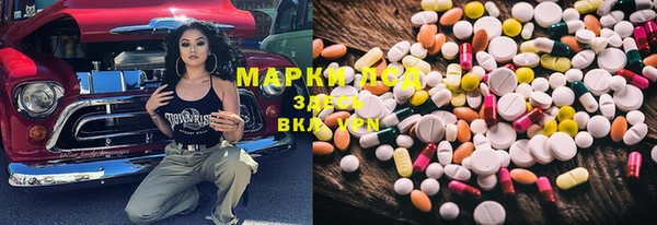индика Горняк