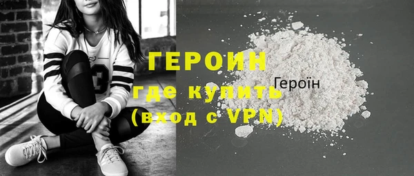 индика Горняк