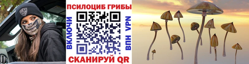 ОМГ ОМГ ссылки  Зарайск  Галлюциногенные грибы Cubensis 